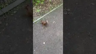 идеи чем заняться летом ✨🏝️🎡