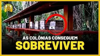 Dá pra criar ASF só no FIM DE SEMANA?