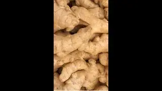 Automatic Ginger Washing Processing Machine   