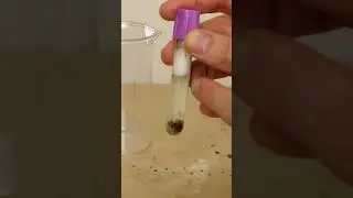What Happens If You Bleach Blood?