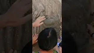 Загадывайте желания и  крутите  Яйцо желаний (солнечные часы «Знаки зодиака») в Железноводске