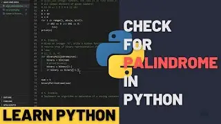 Check for Palindrome - Data Structures and Algorithms in Python