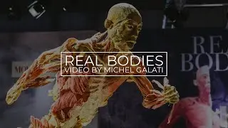 Real Bodies Time-lapse