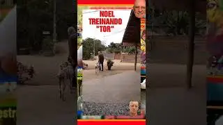 NOEL TREINANDO TOR.