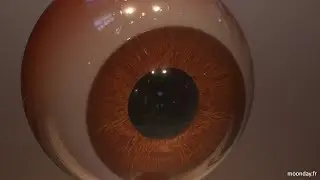 3D Wizardry - Live 01 - Eye procedural texturing