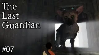 Does Over There Look Like Over Here? | The Last Guardian #07