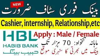HBL Bank Jobs 2025: How to Apply Online | HBL Careers*