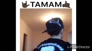 🎄Summer Cem-TaMaM TaMaM vs Базара нет вы все хищники но охотник то я
