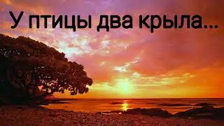У птицы два крыла...🕊️