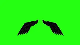 Green Screen Black Wing Animation - FREE TO USE