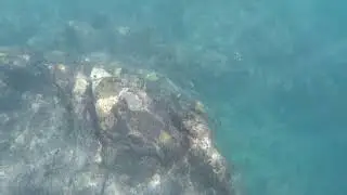 Snorkeling at Playa de Alkala, Tenerife