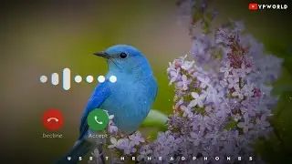 New Hindi Ringtone 2020 || Punjabi Ringtone Mp3 || yaad aa gayi || Famous Trending Ringtones