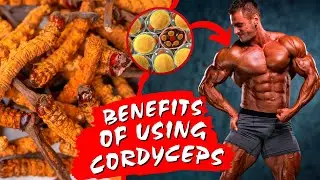 Cordyceps Mushroom | 5 Health Benefits Explained | Just Mushrooms