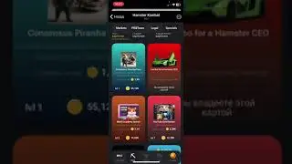 Hamster combat combo дня 