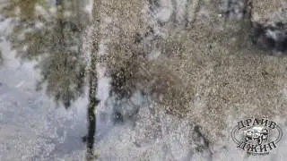 Источники чистой воды Алтая