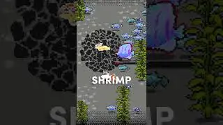 Epic🦐soon. 