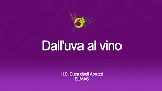 Dall'uva al vino