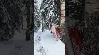 Весь год трудился я не зря...