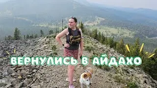 Вернулись в Айдахо