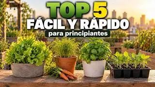 🌱 Plantas que crecen FACIL Y RAPIDO | HUERTO PARA PRINCIPIANTES 👨🏽‍🌾 ¿Qué plantar en un huerto?