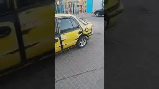 прикольный окрас