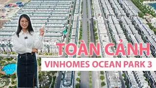 Cập nhật tiến độ thực tế và giá bán mới nhất Vinhomes Ocean Park 3 tháng 10/2024