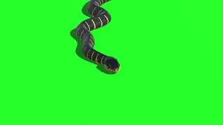 Snake 42 || Green Screen Videos