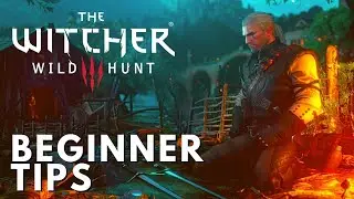 Witcher 3 Beginner's Guide