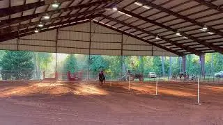 IMG 3879