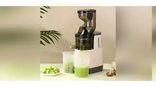 Latest Products You Must Know! 500W Portable Blender For Kitchen Home 110V 220V Electric Juicer