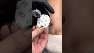 ASMR видео мини тату на ноге для девушки - малина. Милая татуировка от мастера Kot Tattoo Studio