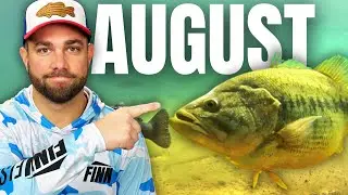 Catch BIG BASS In AUGUST