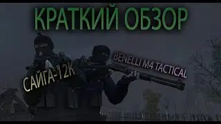 STALKER ONLINE. ЕКБ. САЙГА ИЛИ БЕНЕЛЛИ ЛУЧШЕ?