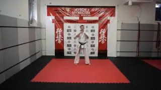 Иппон кумитэ 2