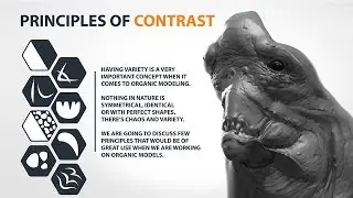 Sculpting Organic Forms with Zbrush