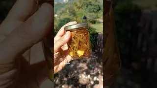 #portulaca #sottolio #conserva #conserve #veganrecipes #foraging #recipeoftheday #recipes #purslane