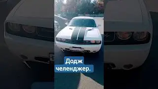 за 7 лямов