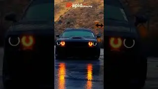 Car Shipping Success: Watch the Car in Action