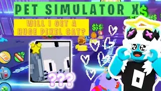 Pet Simulator X - waiting for the miracle to happen