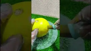 yellow melon cutting 