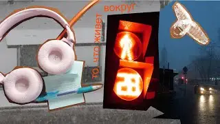 дни жизни