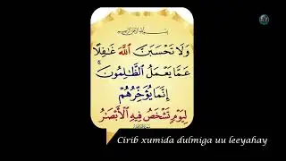 Cirib Xumidda dulmiga uu leeyahay