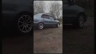 Лес... 