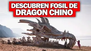 Descubren el fósil de 'Dragón Chino' de 240 millones de años?