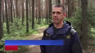 Начался сезон сбора ягод и грибов