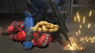 Halo in a Nutshell
