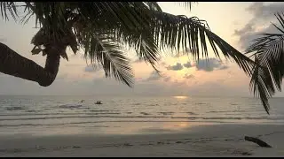 Palm Trees - Michael  E (from album Blue)