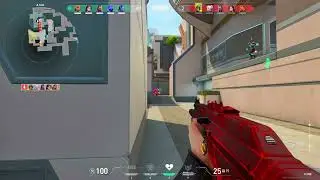 Sage Ace
