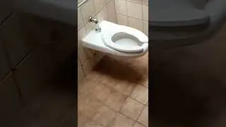 28 мая 2023 г.