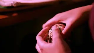 The Cinematography of “Webbed” l Video (2021)